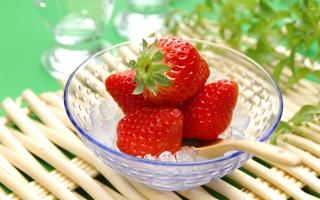 斯图登特纳